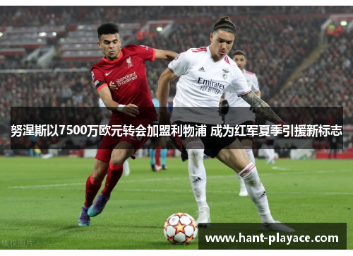 努涅斯以7500万欧元转会加盟利物浦 成为红军夏季引援新标志