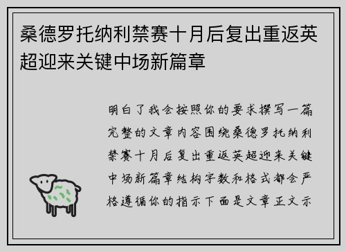 桑德罗托纳利禁赛十月后复出重返英超迎来关键中场新篇章